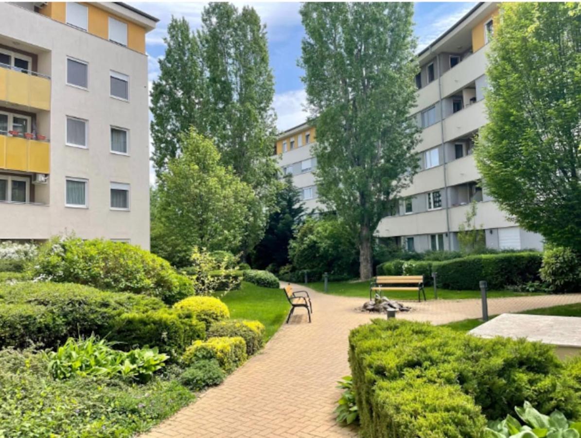 Studio Viva - Cosy Flat In Budapest - Free Parking Exterior photo