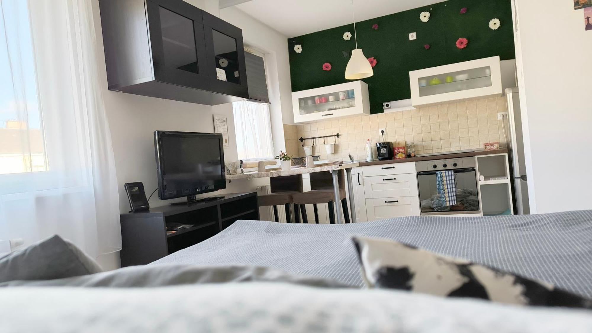 Studio Viva - Cosy Flat In Budapest - Free Parking Exterior photo